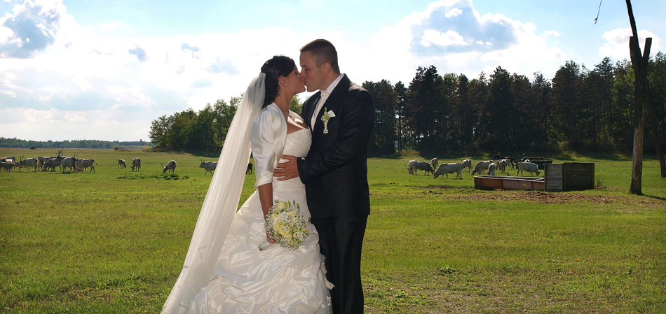 "Esküvői Fotó és Videó készítése a kikéréstől a menyasszonytánc végéig""